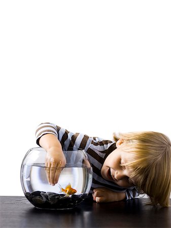 USA, Utah, Provo, Boy (2-3) touching goldfish in bowl Foto de stock - Sin royalties Premium, Código: 640-03257547