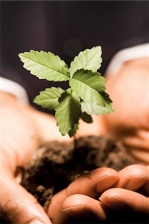 earth finance - Man with small plant in hands Stock Photo - Premium Royalty-Free, Code: 640-03259959