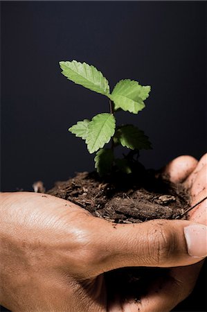plants and economy - Man with small plant in hands Stock Photo - Premium Royalty-Free, Code: 640-03259962