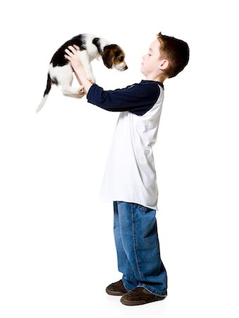 puppy with child white background - Boy with puppy Stock Photo - Premium Royalty-Free, Code: 640-03264443
