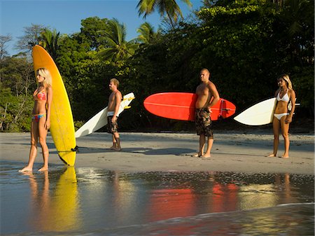 surfer male adult middle aged - Male and female surfers Stock Photo - Premium Royalty-Free, Code: 640-03265524