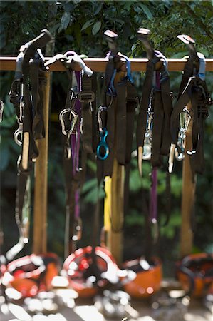 Tree climbing equipment Stock Photo - Premium Royalty-Free, Code: 640-03265709