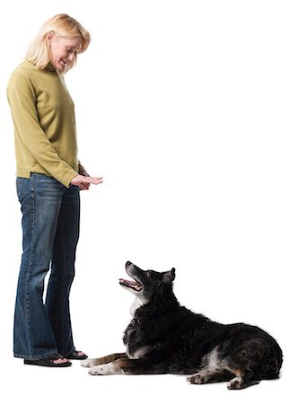 full body cutout middle aged casual - Woman commanding dog to sit Stock Photo - Premium Royalty-Free, Code: 640-03262446