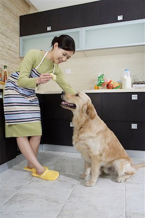 dogs and woman in kitchen - Young woman feeding dog in the kitchen Stock Photo - Premium Royalty-Free, Code: 642-01732781