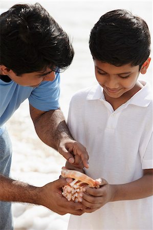 father son trip - Father and son looking at sea shell together Stock Photo - Premium Royalty-Free, Code: 655-03458053