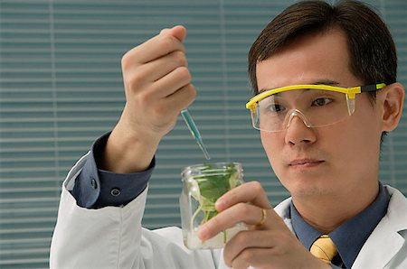 Scientist examining jar with plant samples Stock Photo - Premium Royalty-Free, Code: 656-01767188