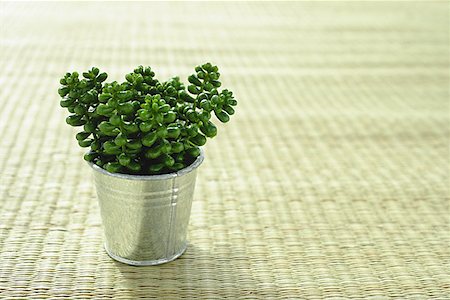 plein (objet) - Artificial plant in a pot Stock Photo - Premium Royalty-Free, Code: 656-01772106