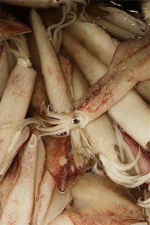 simsearch:6119-07452900,k - Squid at market Stock Photo - Premium Royalty-Free, Code: 656-02660239