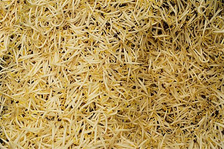 simsearch:6119-07452900,k - Bean sprouts at market Stock Photo - Premium Royalty-Free, Code: 656-02660288