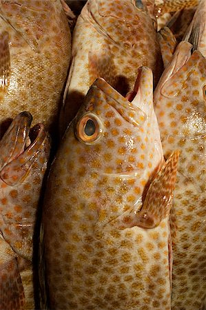 Du poisson au marché Photographie de stock - Premium Libres de Droits, Code: 656-02660293