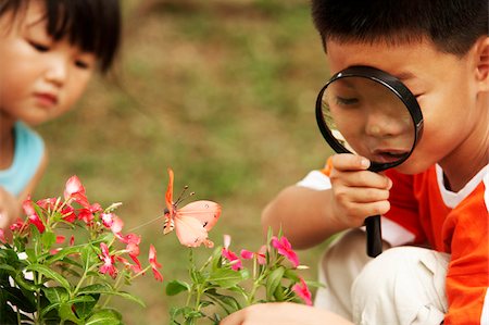 boy looking at butterfly with magnifying glass Stock Photo - Premium Royalty-Free, Code: 656-02879743