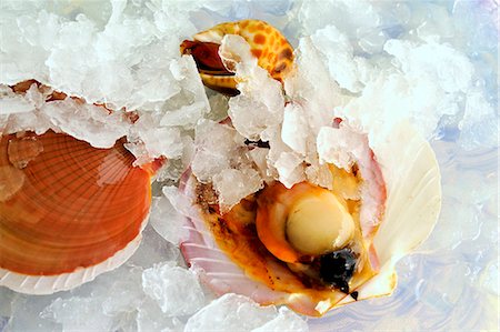 Raw scallops Foto de stock - Sin royalties Premium, Código: 659-06154182