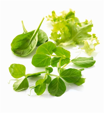 Pea shoots and lettuce leaves Foto de stock - Sin royalties Premium, Código: 659-06154309