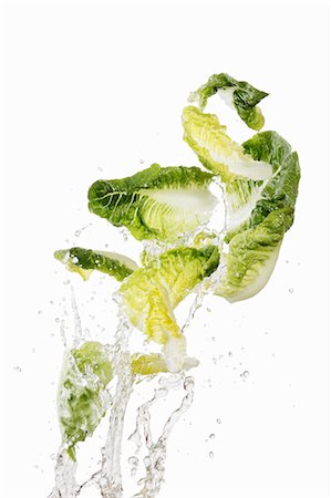 simsearch:659-06187144,k - Cos lettuce being washed Foto de stock - Sin royalties Premium, Código: 659-06154346