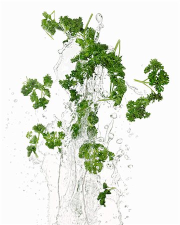 parsley - Parsley being washed Stock Photo - Premium Royalty-Free, Code: 659-06154340