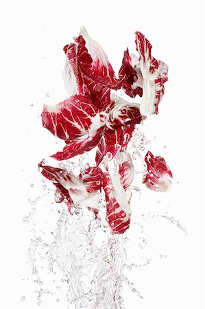 red endive - Radicchio being washed Stock Photo - Premium Royalty-Free, Code: 659-06154342