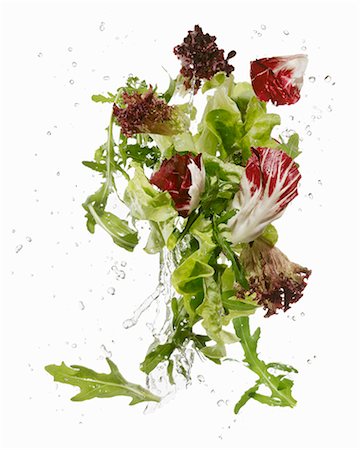 simsearch:659-07028592,k - Feuilles de laitue à laver Photographie de stock - Premium Libres de Droits, Code: 659-06154362