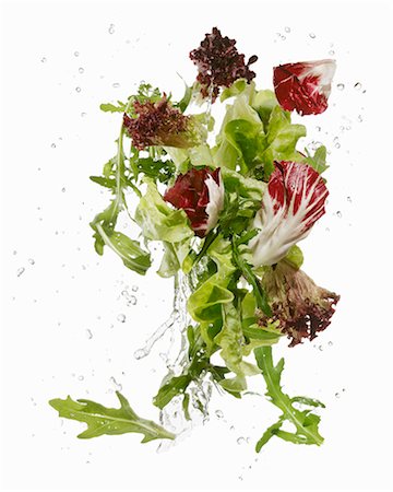 salad isolated - Lettuce leaves being washed Stock Photo - Premium Royalty-Free, Code: 659-06154362