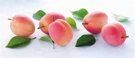 prunus domestica - Cinq prunes Victoria avec feuilles Photographie de stock - Premium Libres de Droits, Code: 659-06154674