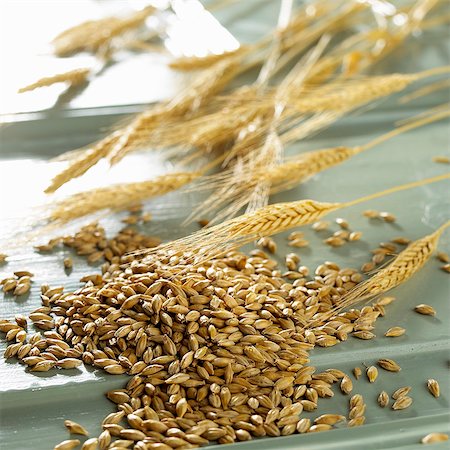 simsearch:659-03523473,k - Barley corns and ears Stock Photo - Premium Royalty-Free, Code: 659-06154846