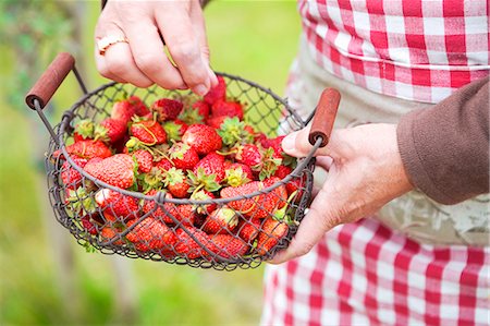 simsearch:659-01866601,k - Fresh strawberries in a wire basket Foto de stock - Royalty Free Premium, Número: 659-06154927