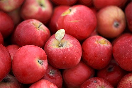 simsearch:659-06152628,k - Quantité de pommes rouges assortis Photographie de stock - Premium Libres de Droits, Code: 659-06155323