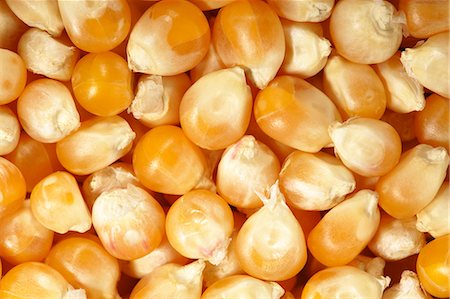 Corn kernels (popping corn, full-frame) Stock Photo - Premium Royalty-Free, Code: 659-06155342