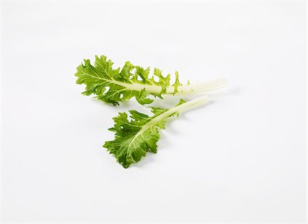 simsearch:659-06902223,k - Rapini leaves Stock Photo - Premium Royalty-Free, Code: 659-06155609