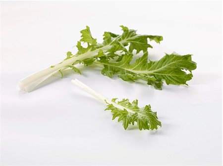 simsearch:659-06153648,k - Rapini leaves Foto de stock - Sin royalties Premium, Código: 659-06155610