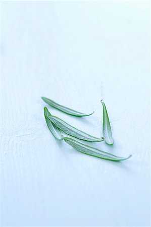 simsearch:659-06185211,k - Rosemary leaves Stock Photo - Premium Royalty-Free, Code: 659-06151308