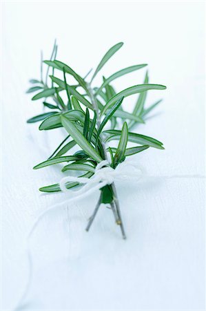 fresh rosemary - A bunch of fresh rosemary Stock Photo - Premium Royalty-Free, Code: 659-06151309