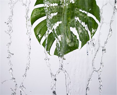 fluido - A green leaf under running water Foto de stock - Sin royalties Premium, Código: 659-06151468