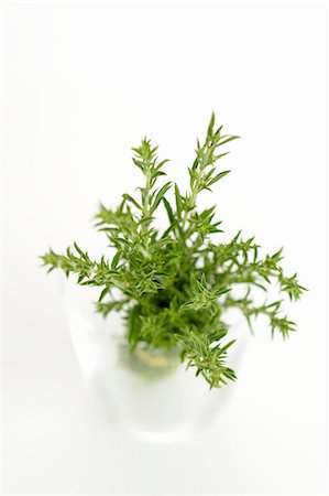 simsearch:659-06306524,k - Brins de thym frais dans un verre d'eau Photographie de stock - Premium Libres de Droits, Code: 659-06151500