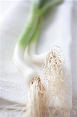 simsearch:659-06154679,k - Two spring onions on a linen cloth Stock Photo - Premium Royalty-Free, Code: 659-06151572