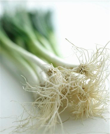 simsearch:659-06186025,k - Fresh spring onions Stock Photo - Premium Royalty-Free, Code: 659-06151599