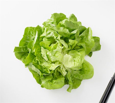 photograph of lettuce - Fresh lettuce Stock Photo - Premium Royalty-Free, Code: 659-06151695