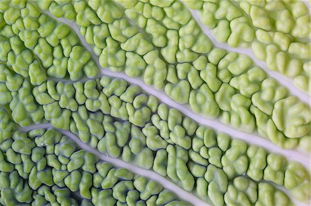 surface - Savoy cabbage leaf (detail) Stock Photo - Premium Royalty-Free, Code: 659-06151708