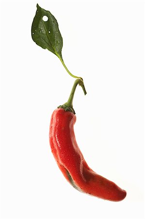 simsearch:659-06153207,k - A red chilli pepper with a leaf Stock Photo - Premium Royalty-Free, Code: 659-06151744