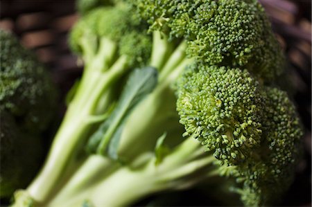 Fresh Broccoli; Close Up Foto de stock - Sin royalties Premium, Código: 659-06151821