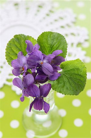 Posy of violets Foto de stock - Sin royalties Premium, Código: 659-06151943