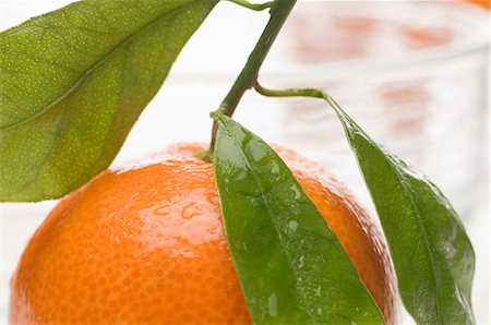 simsearch:659-06187804,k - A mandarin with leaves Stock Photo - Premium Royalty-Free, Code: 659-06151954