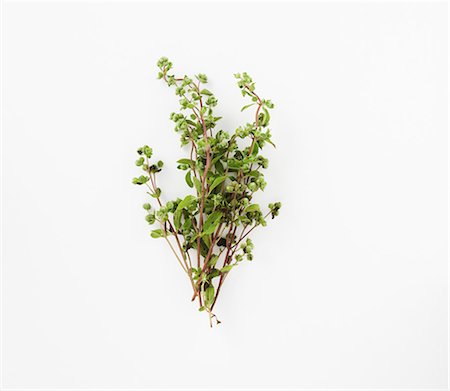 Fresh marjoram Stock Photo - Premium Royalty-Free, Code: 659-06151980