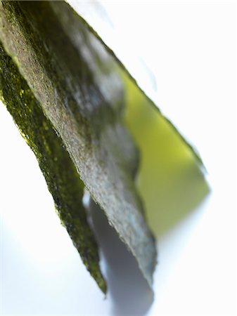 seaweed - Feuilles de nori Photographie de stock - Premium Libres de Droits, Code: 659-06152028