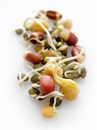 Various sprouts (chickpeas, lentils, beans) Foto de stock - Sin royalties Premium, Código: 659-06152102