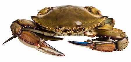 Crabs Stock Photo - Premium Royalty-Free, Code: 659-06152485