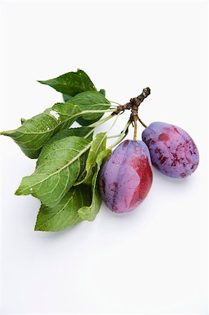 prunus domestica - Plums with twigs and leaves Foto de stock - Sin royalties Premium, Código: 659-06152604