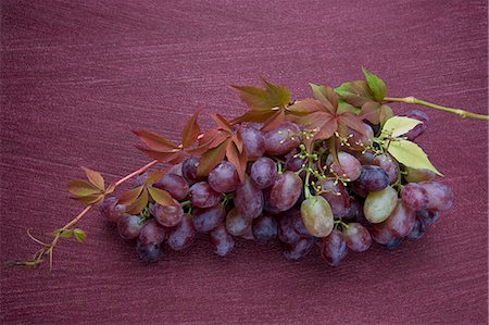 Raisins rouges sur une vigne Photographie de stock - Premium Libres de Droits, Code: 659-06152610