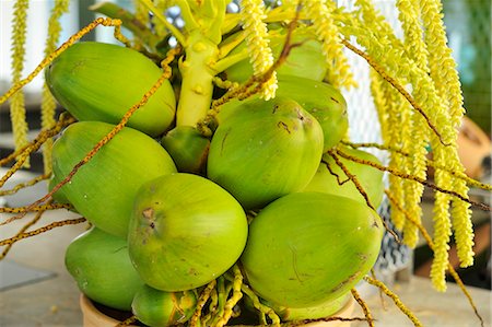 Green coconuts on a stem Foto de stock - Sin royalties Premium, Código: 659-06152833