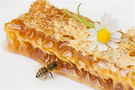 Un nid d'abeilles, une abeille et une Marguerite Photographie de stock - Premium Libres de Droits, Code: 659-06152884