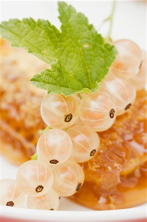 White currants on a honeycomb Stock Photo - Premium Royalty-Free, Code: 659-06152886